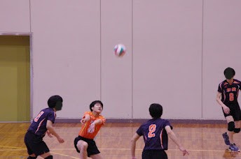 バレーボールの写真A