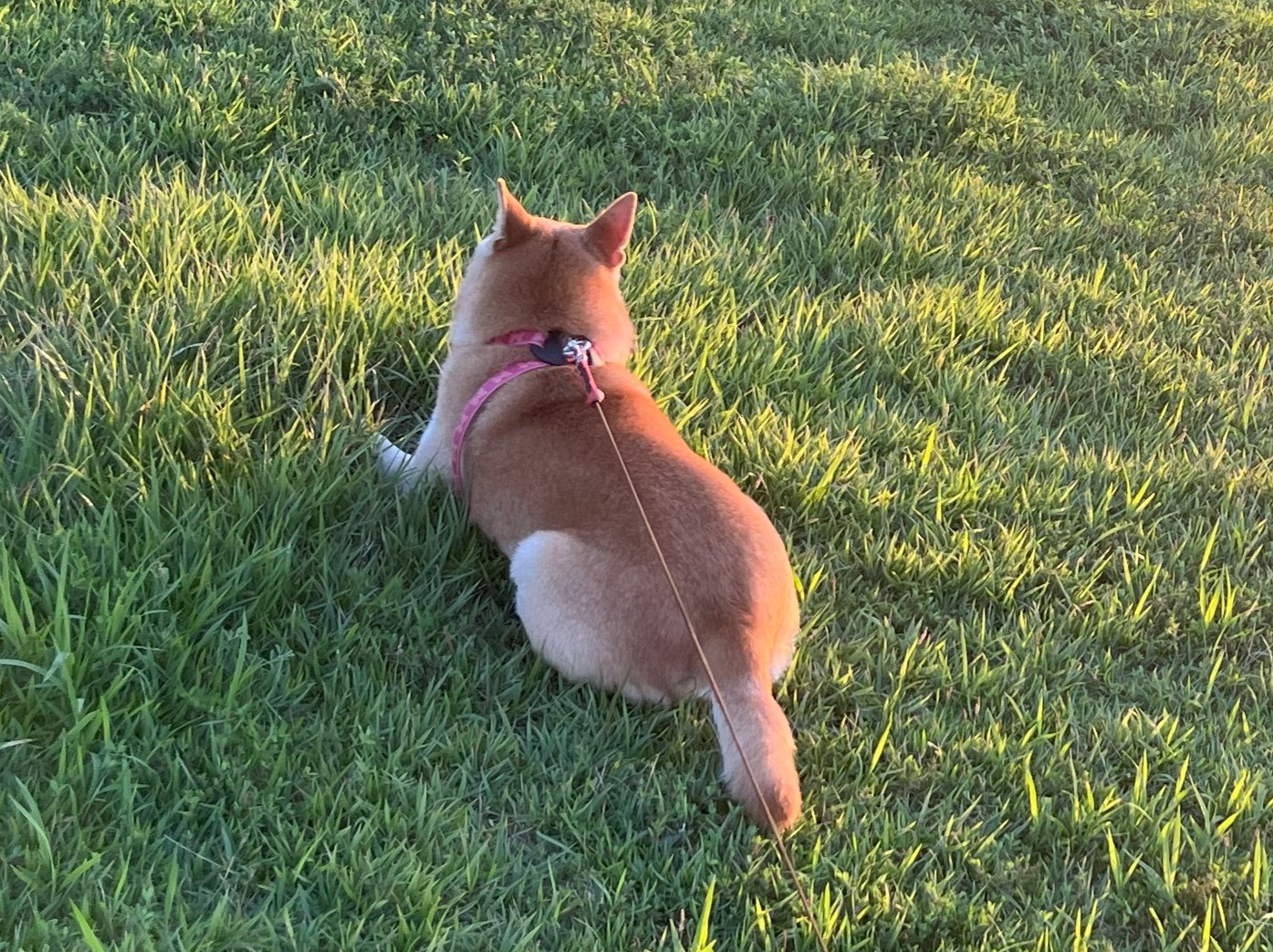 メイン写真